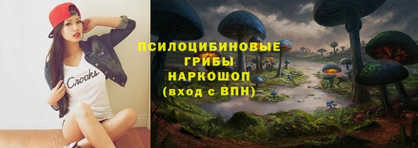 не бодяженный Михайлов