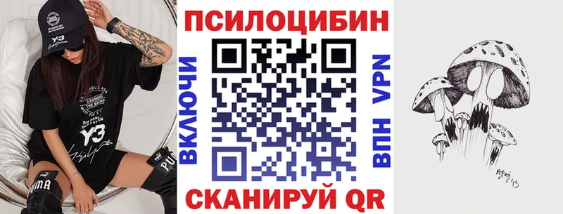 omg   Микунь  Галлюциногенные грибы Psilocybine cubensis 